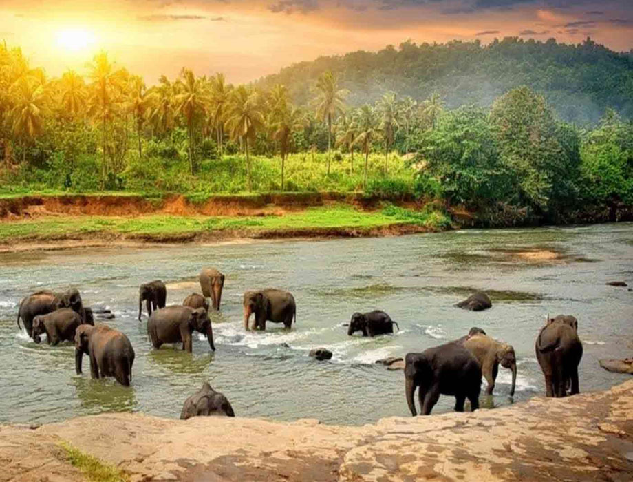 KERALA TOUR PACKAGE 6 NIGHTS 7 DAYS