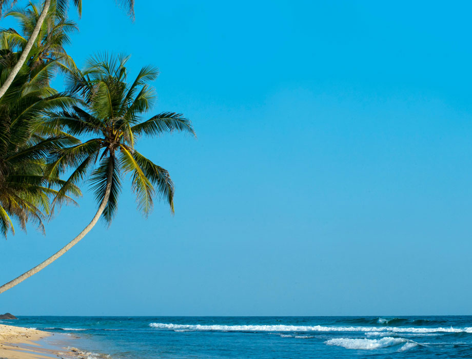 SRI LANKA TOUR PACKAGE 7 NIGHTS 8 DAYS