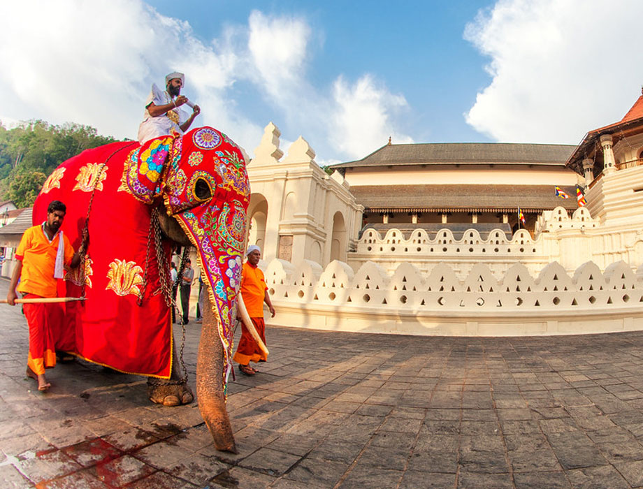 SRI LANKA TOUR PACKAGE 7 NIGHTS 8 DAYS