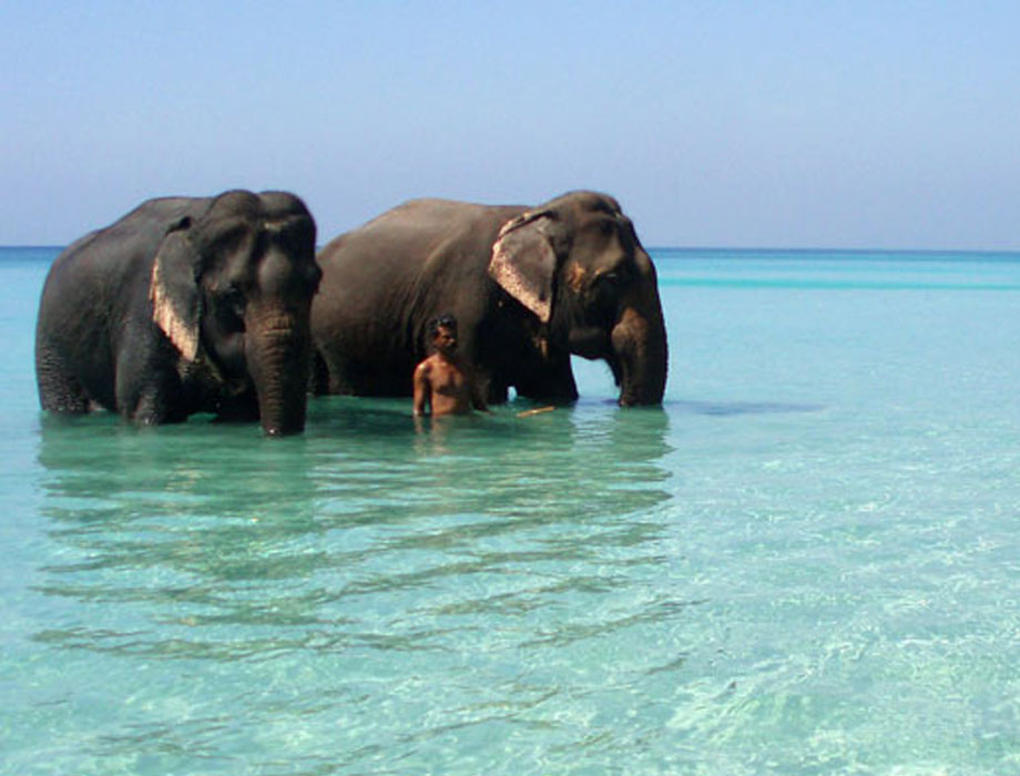 ANDAMAN TOUR PACKAGE 5 NIGHTS 6 DAYS