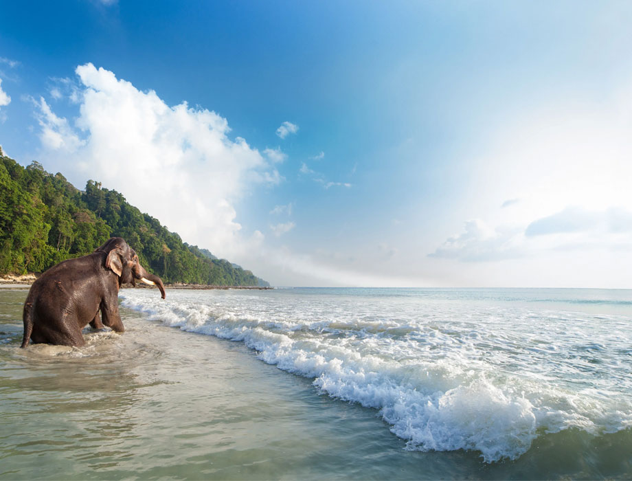 ANDAMAN TOUR PACKAGE 5 NIGHTS 6 DAYS