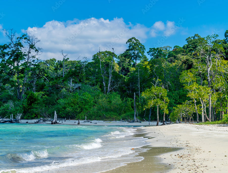 ANDAMAN TOUR PACKAGE 5 NIGHTS 6 DAYS