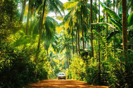 GOA TOUR PACKAGE 3 NIGHTS 4 DAYS