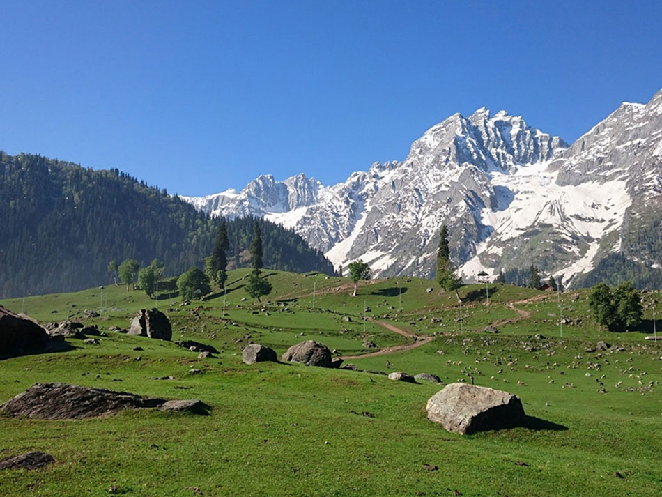 KASHMIR SEASONAL TOUR PACKAGE 05 DAYS