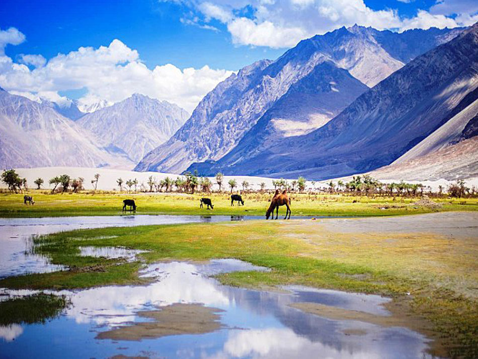 LADAKH SEASONAL TOUR PACKAGE 5 NIGHTS 6 DAYS