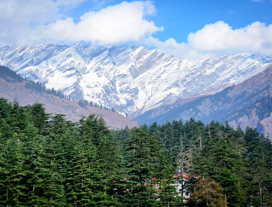 SHIMLA-MANALI TOUR PACKAGE 5 NIGHTS 6 DAYS