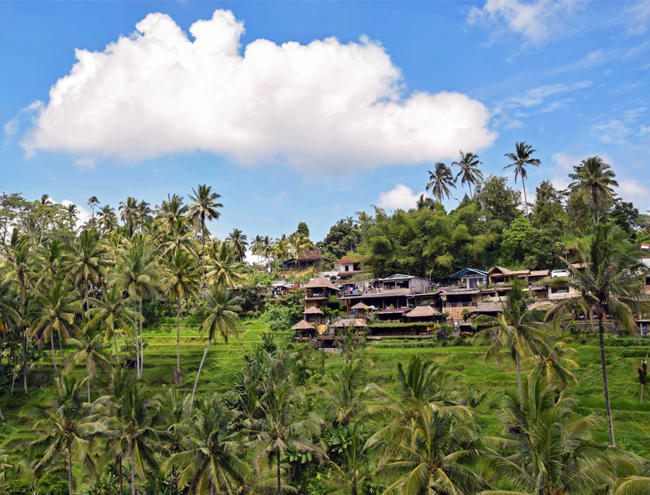 Bali